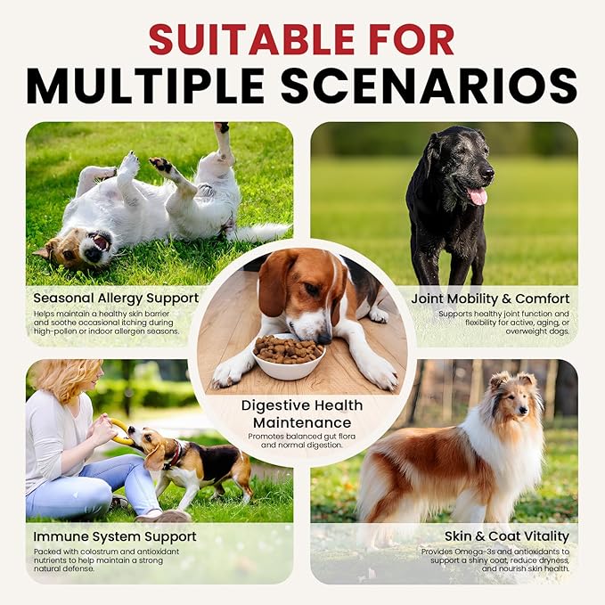 Dog Allergy Chews Hip and Joint Supplement for Dogs with Glucosamine Chondroitin for Anti Itch Skin Paw Pain Relief and Immune Pet Allergies Treats Chews for Itching and Licking Health Supplement Dogs