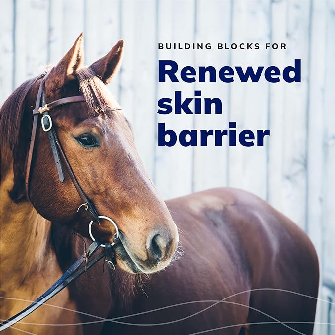 CeraSoothe® CHX+MC Antiseptic Shampoo 8oz