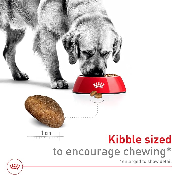 Royal Canin Size Health Nutrition Large Adult Dry Dog Food, 30 lb Bag