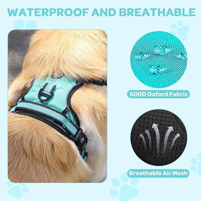 FURRYFECTION Dog Harness | No Pull Dog Harness | Reflective Oxford | Padded Handle | 4 Adjustable Straps | 2 Leash Clips | No Choke Pet Vest Harness for Small Medium Large Dogs | Turquoise | M
