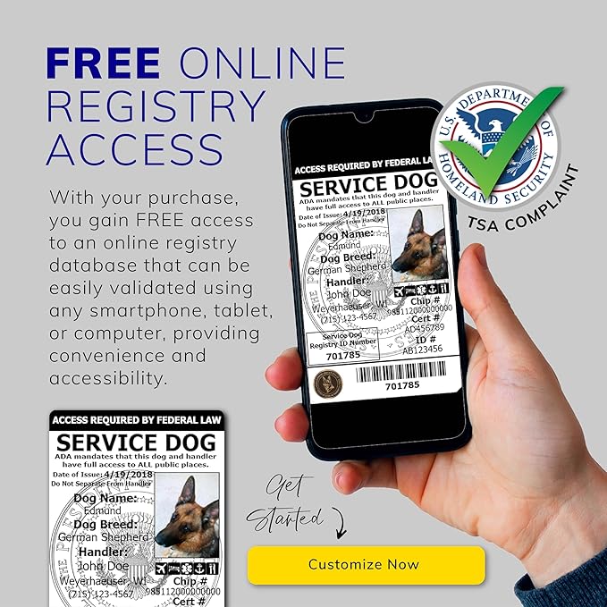 ActiveDogs Full Service Dog Kit - XS Aqua Service Vest with Handle, ID Holder, ADA Cards, Medical Alert Keychain, Leash & Patches