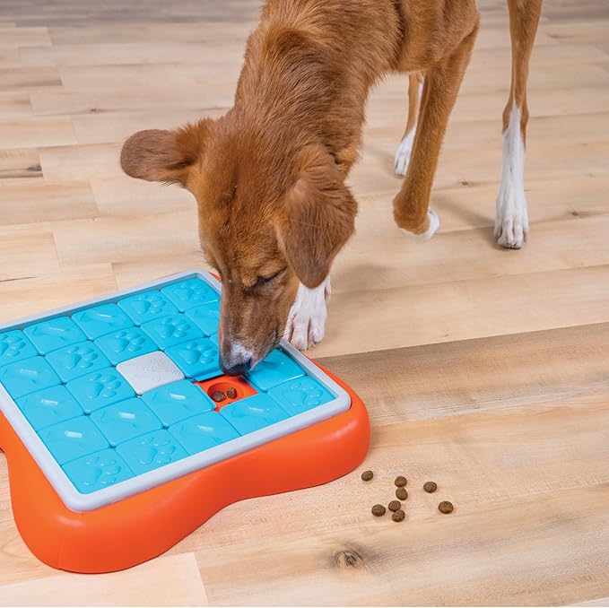Outward Hound Nina Ottosson Challenge Slider Interactive Treat Puzzle Dog Enrichment Toy, Level 3 Advanced, Multicolored