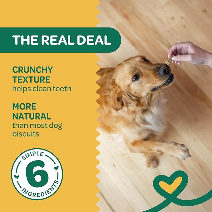Wholesome Pride Nature’s Biscuits Pumpkin Dog Treats - Crunchy, Natural, Limited‑Ingredient, Grain‑Inclusive Recipe with Fiber‑Rich Pumpkin - Mini Bone‑Shaped Treats - 16oz Bag