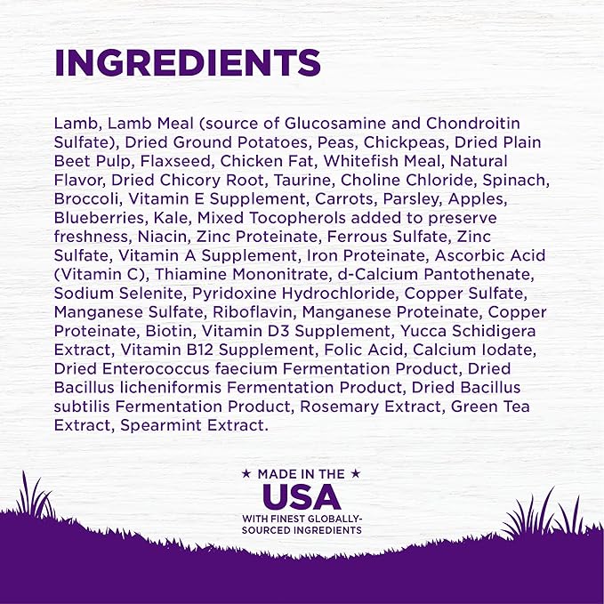 Wellness Complete Health Dry Dog Food, Grain Free, Natural, Lamb Recipe, (22-Pound Bag)