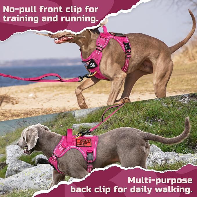 rabbitgoo Tactical Dog Harness for Large Dogs, No Pull Military Service Vest with Handle & Molle, Easy Control for Training Walking, Adjustable Reflective Straps, Rose Red, XL