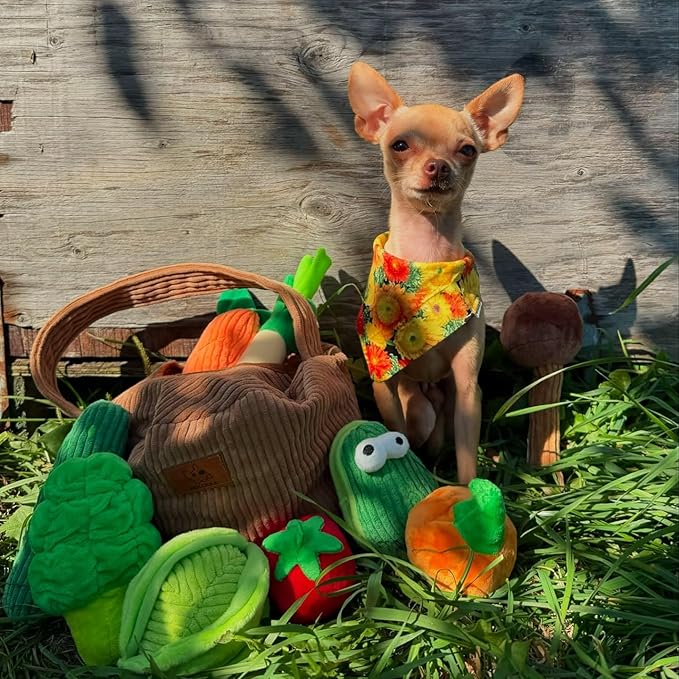 Nocciola Small Squeaky Crinkle Dog Toys- 15 Packs Grocery Basket Fruits Veggies Puppy Toys to Keep Busy, Cute Durable Plush Stuffed Hide Seek Cognitive Boredom Pet Supplies, Dog Birthday Gifts