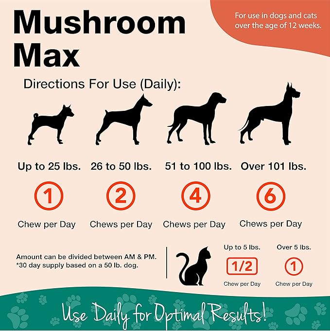 NaturVet Mushroom Max Advanced Immune Support Dog Supplement – Helps Strengthen Immunity, Overall Health for Dogs – Includes Shitake Mushrooms, Reishi, Turkey Tail – 60 Ct.