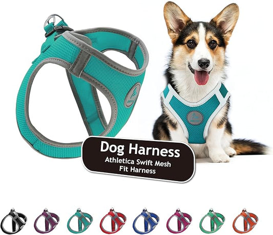 Kruz Dog Harness (Chest 20.5"-22", Weight 20–25 lbs) Athletica Adjustable Heavy Duty No Choke Puppy Vest for Small Dogs Lightweight Air Mesh, Reflective, Puppy Essentials – Turquoise, X-Large