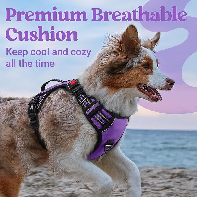 rabbitgoo Dog Harness for Large Dogs, No Pull Pet Harness with Soft Padded Handle, Adjustable Reflective Vest with 3 Buckles, Easy Walking Harness with 2 Leash Clips, Purple, M