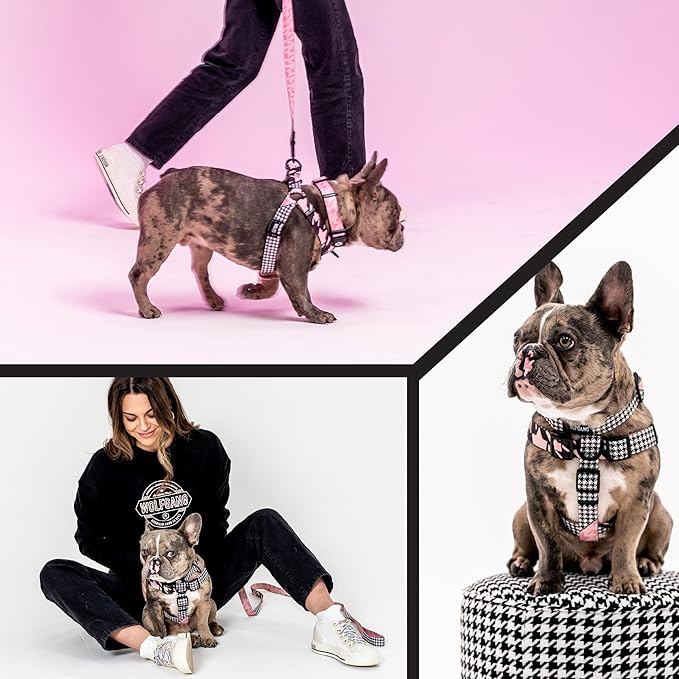 Wolfgang Heavy Duty Adjustable Dog Harness, Pull-Tested to Over 800 lbs for Walking & Training, HoundsPink Print, Medium