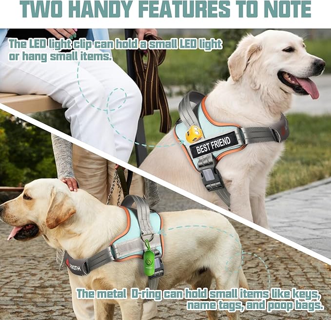 AUROTH Dog Harness and Leash Set, Soft Padded Service Dog Vest with 5.25FT Dog Leash, No Choke, Easy On Pet Vest, Adjustable Reflective No Pull Dog Harness for Large Dogs, Easy Walking and Training