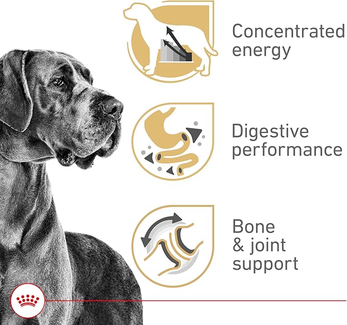 Royal Canin Great Dane Adult Dry Dog Food, 30 lb bag