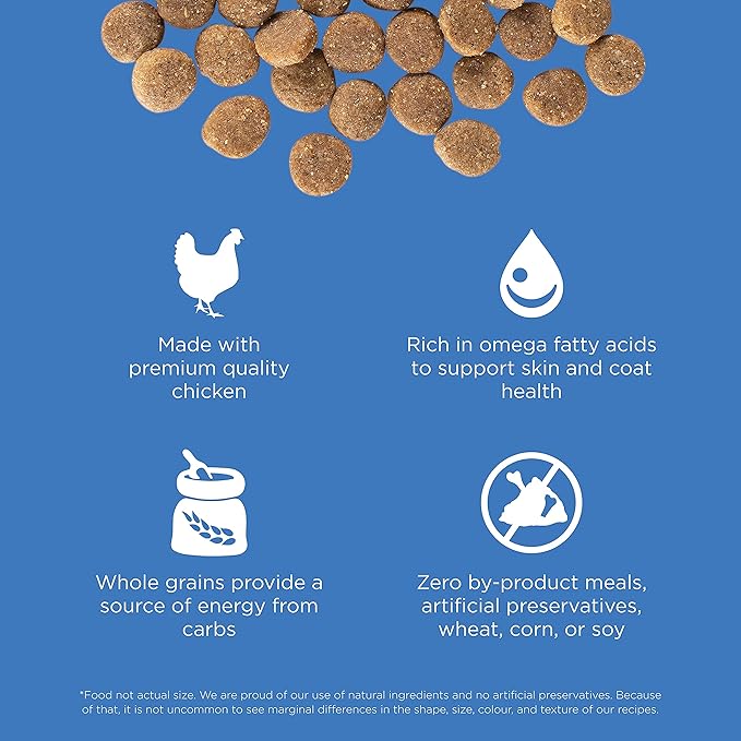 Go! Solutions Skin + Coat Care, Dry Dog Food, Chicken Recipe with Grains, 12 lb Bag