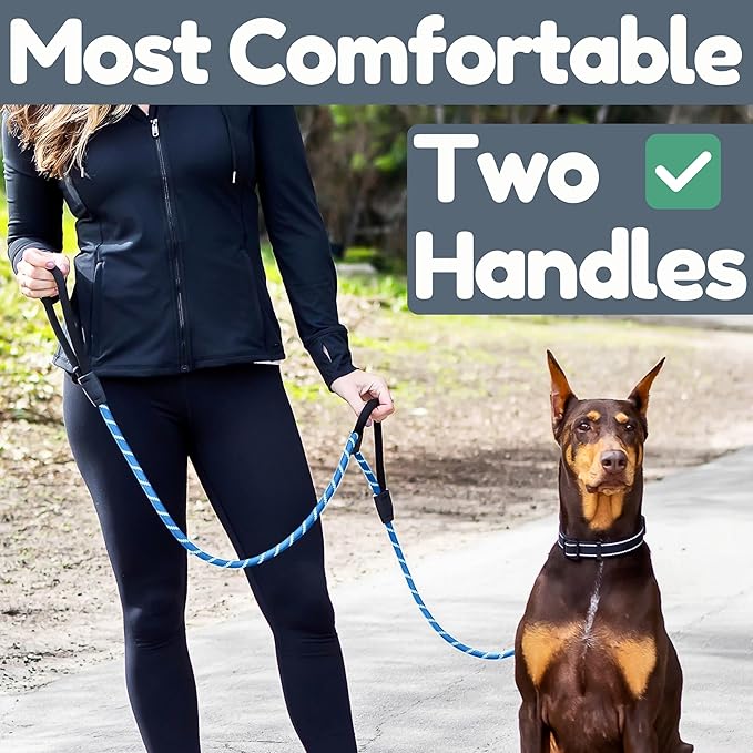 Premium 6 Ft Dog Leash - Two Extra Padded Handles, Heavy Duty Leashes for Medium Dogs to Large Breeds, Reflective, Shock-Absorbing, Anti-Pull Rope Leash, Strong Pet Lead for Everyday Walks - Roam Gear