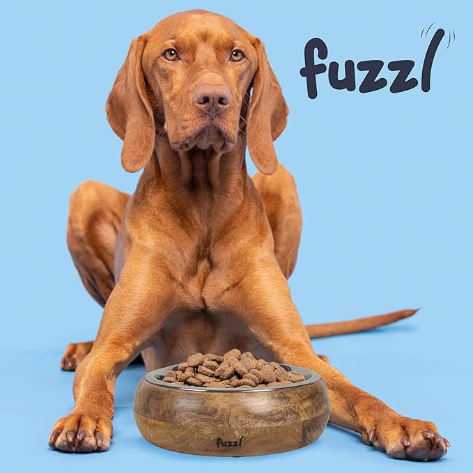 Titan Mango Wood & Stainless Steel Bowl 9.5 Inch Large - Natural Dog Bowl for Indoors and Outdoors with Rubber Base