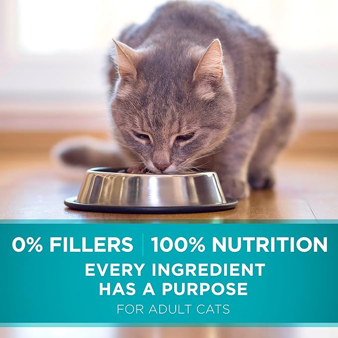 Purina ONE Natural Dry Cat Food, Tender Selects Blend With Real Chicken - 7 lb. Bag