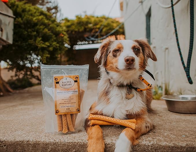 BRUTUS & BARNABY USA Sweet Potato Dog Treats - Grain Free, Pumpkin Bacon Crunchy Sticks - Great Tasting, Promotes Positive Dog Gut Health with Natural Anti-Diarrhea Properties, No Preservatives Added