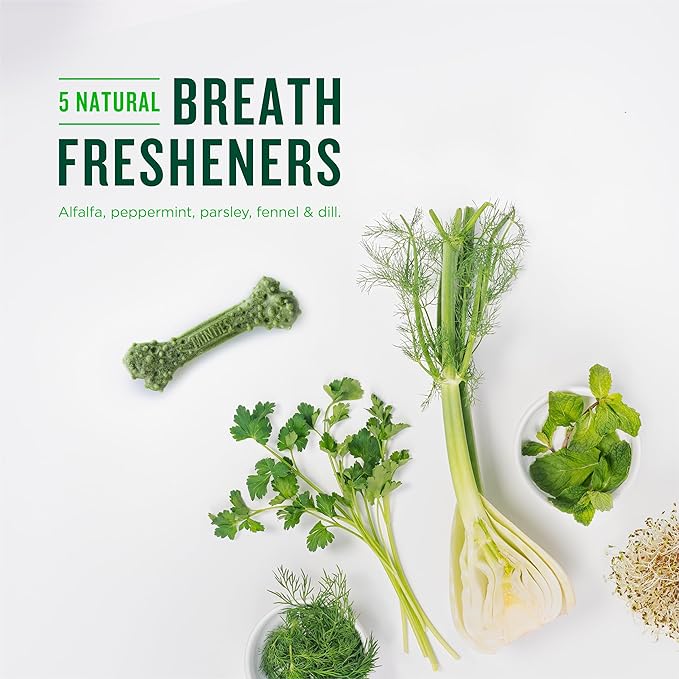 Minties Dental Chews for Dogs, 80 Count, Vet-Recommended Mint-Flavored Treats for Tiny/Small Dogs 5-24 lbs, Dental Bones Clean Teeth, Fight Bad Breath, and Removes Plaque and Tartar