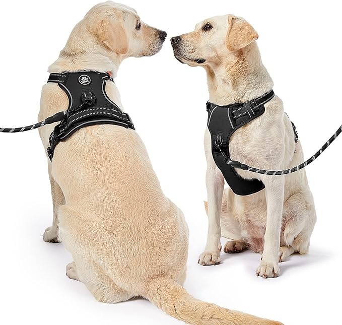 NESTROAD No Pull Dog Harness,Adjustable Oxford Dog Vest Harness with Leash,Reflective No-Choke Pet Harness with Easy Control Soft Handle for Small Medium Dogs(Medium,Black)
