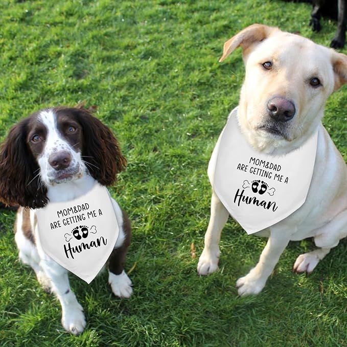 2 Pack Mom&Dad are Getting me a Human Dog Pregnancy Announcement Bandana Pet Accessories for Dog Lovers Gender Reveal Photo Prop Pet Scarf Coming Soon Baby Announcement