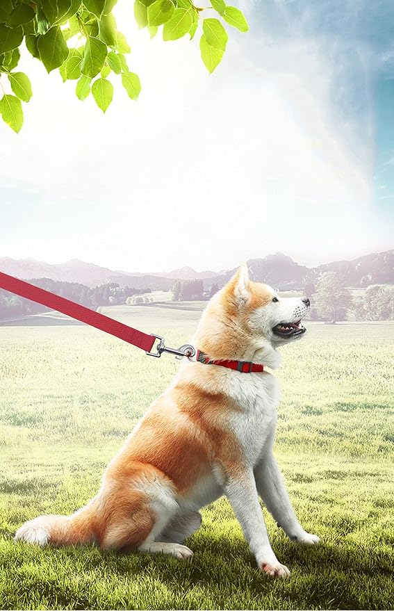 PETGOGO 15ft 20ft 30ft 40ft 50ft Long Dog/Puppy Lead Obedience Recall Training Dog Leashes for Small Medium Dogs Camping, Training, Play, or Backyard (Red, 1" x 30FT)