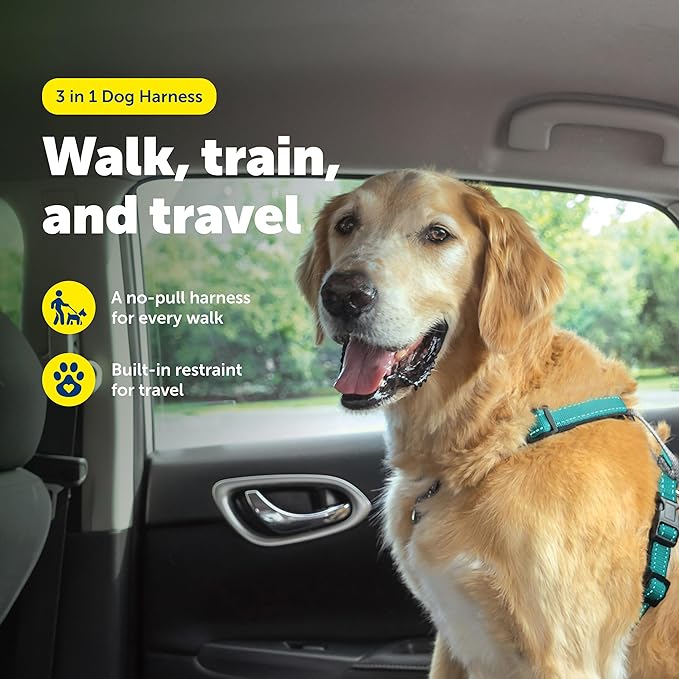 PetSafe 3-in-1 Harness - Comfortable Easy-Walk Dog Chest Harness with Front Leash Attachment to Reduce Pulling, Choking & Gagging - Dog Obedience Gear - Large- Teal
