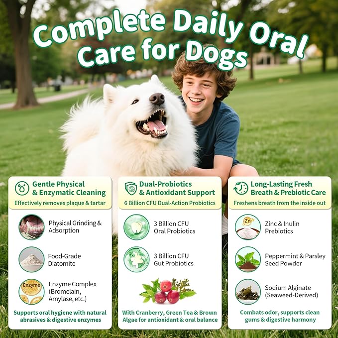 Dog Dental Powder – Teeth Cleaning Powder with 6B CFU Probiotics, Enzymes & Antioxidants, Plaque & Tartar Off, Fresh Breath Support, No Brushing Oral Care, Mint Beef Flavor, 75 Servings