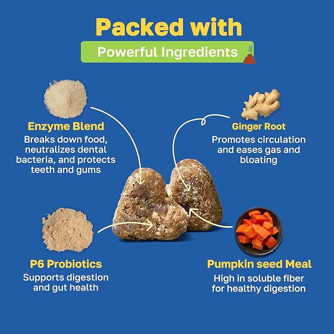 Happy Paws Digestive Supplement for Dogs, Gut Health & Immune Support for All Breeds & Ages, Made with Probiotics, Enzyme Blend & Ginger Root, Pumpkin Flavor, Organic, Non GMO, 200 Soft Chews