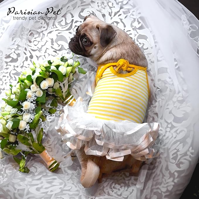 Parisian Pet Ballerina Dog Dress Yellow