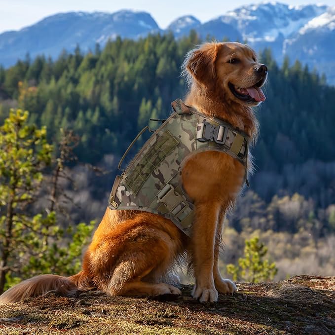 Tactical Dog Backpack Harness for Large Breed Original Design Metal Buckle Vest with Side Bags Pouches for Service Working Training (Khaki (Vest only), XL)