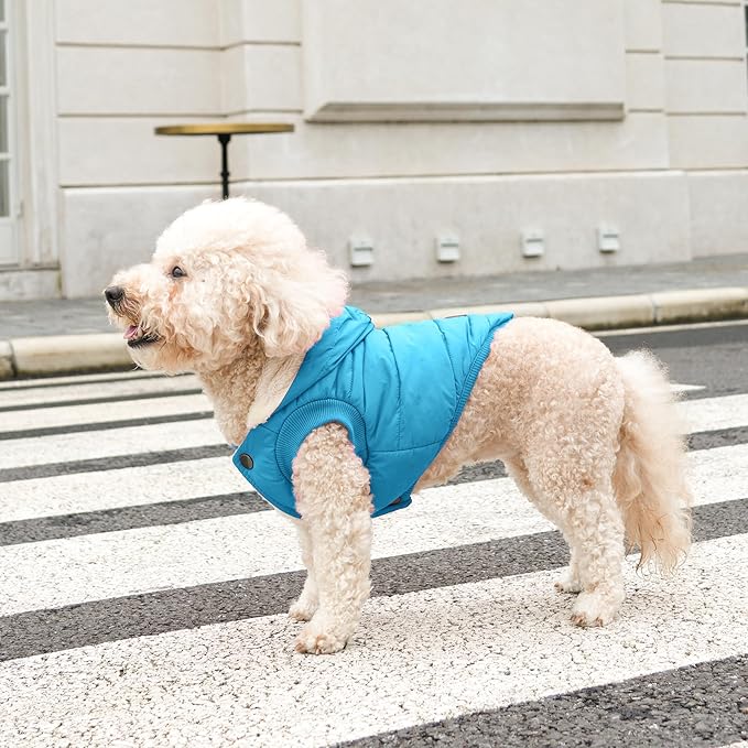 Fleece Lining Extra Warm Dog Hoodie in Winter for Large Dogs Jacket Pet Coats with Hooded,Light Blue XXL