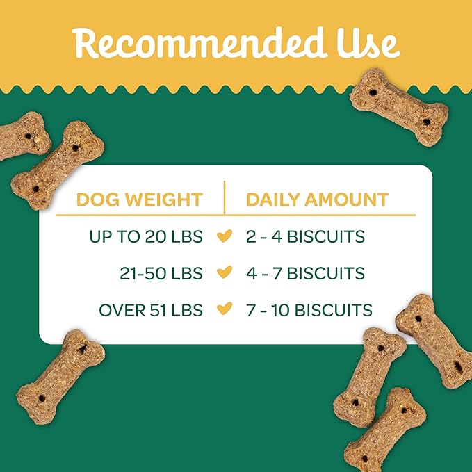 Wholesome Pride Nature’s Biscuits Pumpkin Dog Treats - Crunchy, Natural, Limited‑Ingredient, Grain‑Inclusive Recipe with Fiber‑Rich Pumpkin - Mini Bone‑Shaped Treats - 16oz Bag