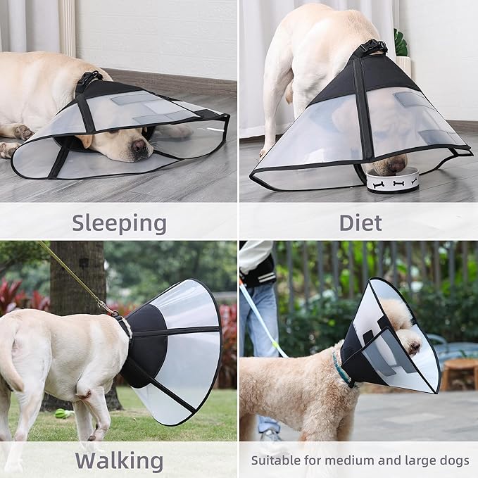 DogLemi Dog Cone Collar, Soft Dog Cone for Dogs After Surgery, Adjustable and Comfortable Elizabeth Collar, Used for Wound Care, Sterilization, Suitable for Medium to Large Dogs (L)