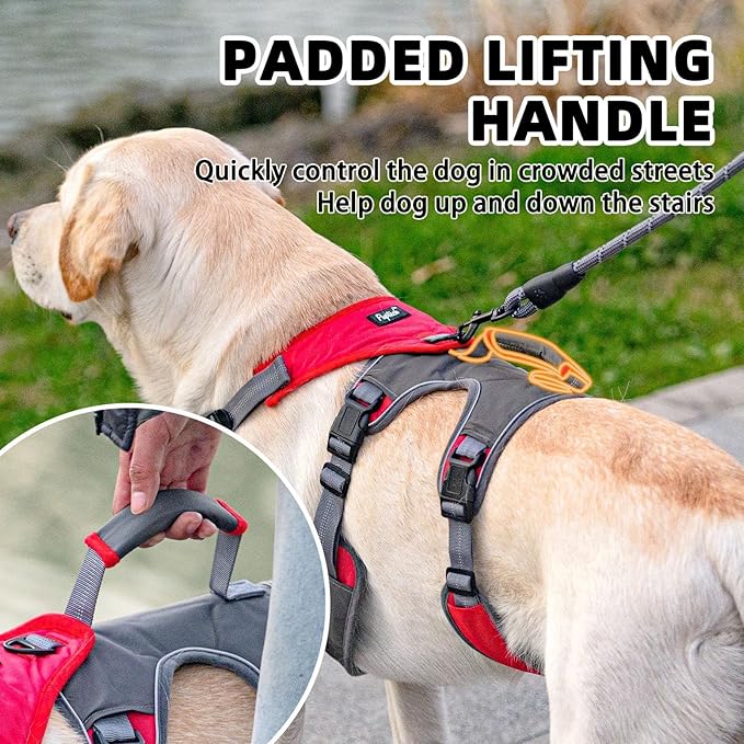 PUPTECK Escape Proof Dog Harness and Leash Set Upgraded No Pull Reflective Dog Vest with Lift Handle, Easy Control Pet Harness for Medium Large Dogs Training Walking Running