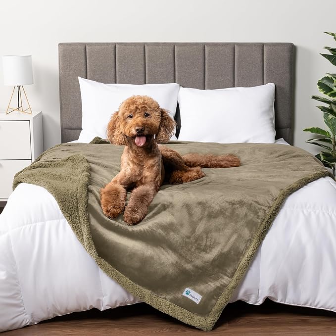 PetAmi Waterproof Dog Blanket for Medium Large Dog Puppy Cat Throw for Couch Cover Leakproof Protection, Sherpa Fleece, Reversible Soft Washable 60x40 Taupe Taupe