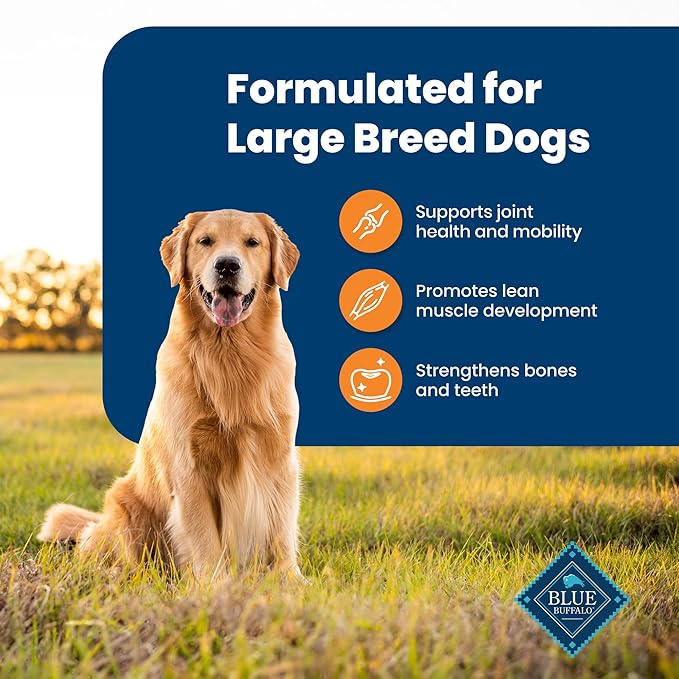 Blue Buffalo Life Protection Formula Large Breed Adult Dry Dog Food, Promotes Joint Health and Lean Muscles, Made with Natural Ingredients, Chicken & Brown Rice Recipe, 30-lb Bag