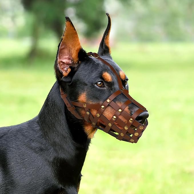 OOPSDOGGY Doberman Dog Muzzle for Large Dogs - Leather Breathable Secure Basket Muzzle for Large Breeds Husky German Shepherd Prevents Biting No Chewing Adjustablу (Black, Size 3 - Doberman)