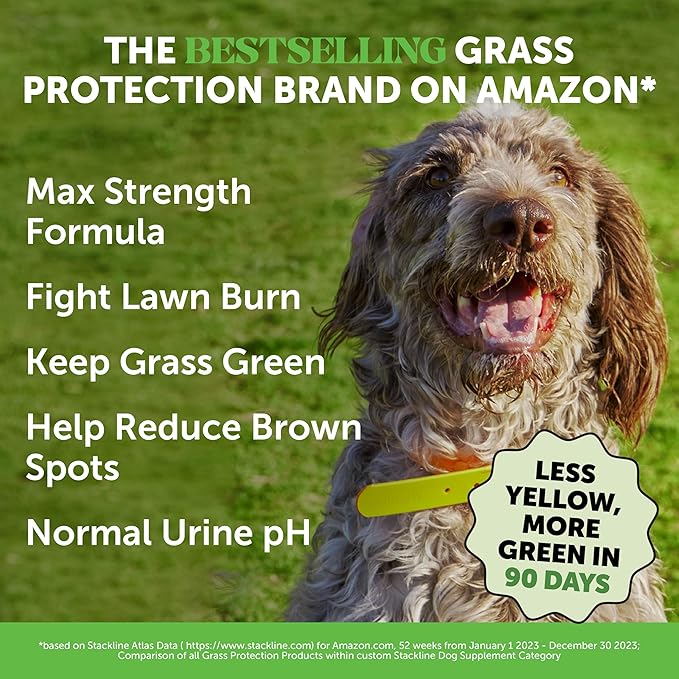 Grass Green Max Strength Burn Spot Chews for Dogs - Premium Formula - Dog Pee Lawn Spot Saver Supplement Caused by Dog Urine, Supports Healthy Digestion w/Probiotics + DL-Methionine - 90ct