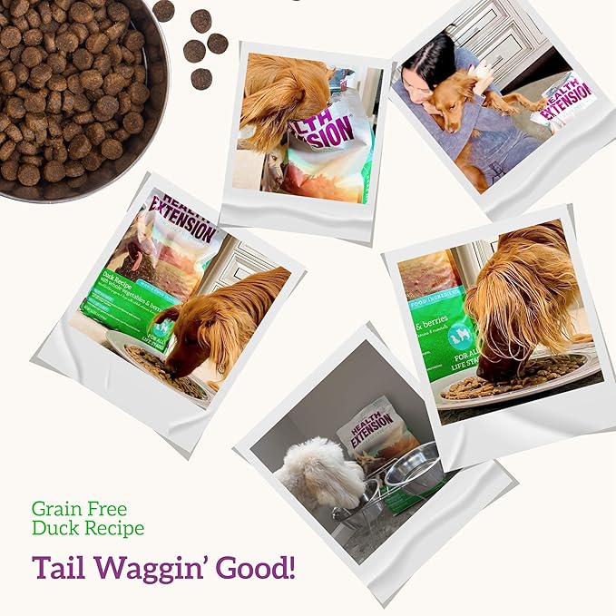 Health Extension Grain Free Duck & Sweet Potato Dry Dog Food (4 lb / 1.81 kg) - Lean Protein Formula with Turmeric & Antioxidants for Healthy Skin & Digestion