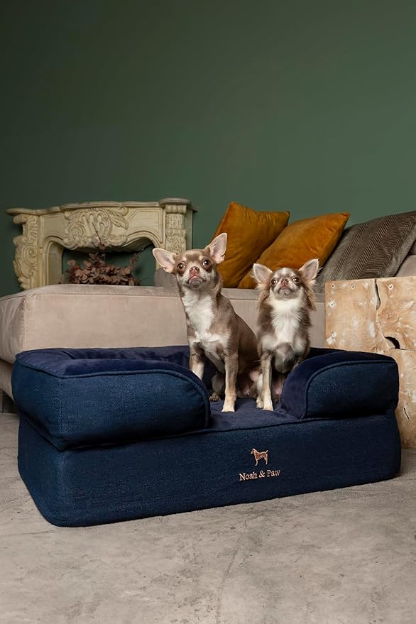NOAH & PAW Dog Bed, 28x23x11 Inch, Orthopedic Dog Beds for Medium Size Pets, Eggshell Memory Foam Infused with Cooling Gel, Inner Cover, Waterproof, Machine Washable (Denim Sofa Collection)