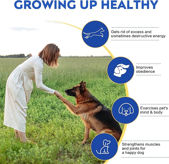 Dog Agility Training Equipment,Course Backyard Set Training Equipment for Dogs Pet Outdoor Game with Yellow, Blue and Red Tunnel, Agility Hurdle, Poles, Jump Ring, Pause Box, Toy Balls and Storage Bag