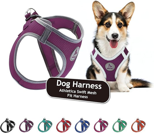 Kruz Dog Harness (Chest 16"-17", Weight 10–15 lbs) Athletica Adjustable Heavy Duty No Choke Puppy Vest for Small Dogs Lightweight Air Mesh, Reflective, Puppy Essentials – Amethyst, Medium