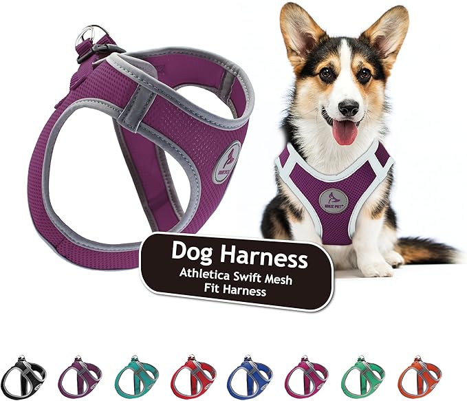 Kruz Dog Harness (Chest 14.5"-15.5", Weight 6–10 lbs) Athletica Adjustable Heavy Duty No Choke Puppy Vest for Small Dogs Lightweight Air Mesh, Reflective, Puppy Essentials – Amethyst, Small