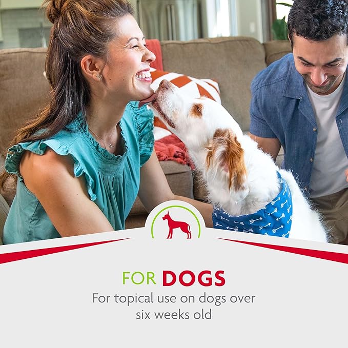 FURminator® Rinse-Free deShedding Spray For Dogs, Helps Reduce Excess Shedding And Refreshes Between Baths, 8.5 Fluid Ounces