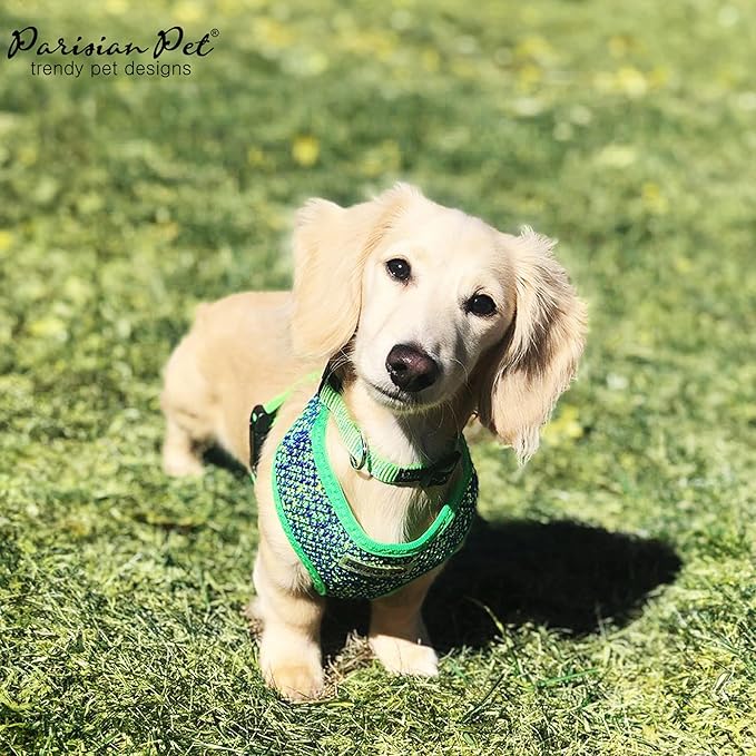 Parisian Pet Soft Padded Green/Blue Adjustable No Pull Puppy Harness - Cooling Dog Harness for Walking, Running, Hiking - Medium Size M