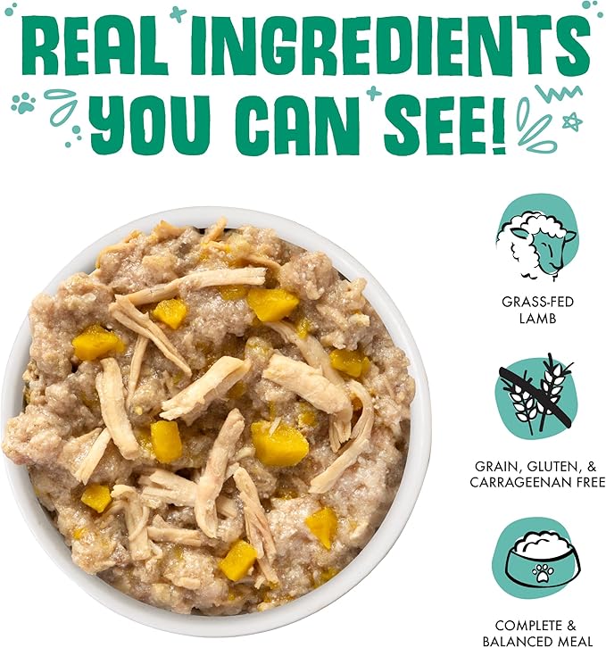 Weruva Classic Dog Food, That's My Jam! with Chicken & Lamb in Gelée, 5.5Oz Can (Pack of 24)