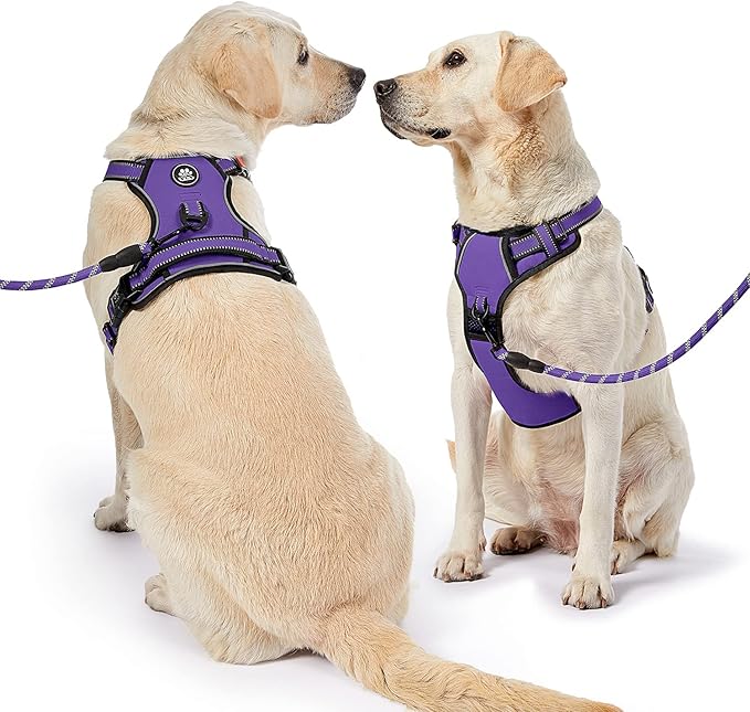 NESTROAD No Pull Dog Harness,Adjustable Oxford Dog Vest Harness with Leash,Reflective No-Choke Pet Harness with Easy Control Soft Handle for Small Dogs(Small,Purple)