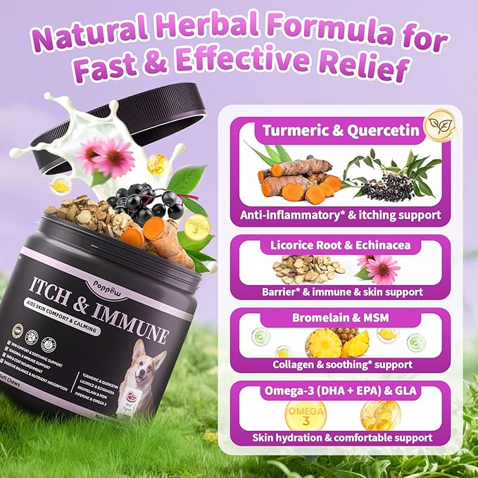 Dog Allergy Relief Chews, Itch Relief for Dogs – Turmeric & Omega-3 Supplements for Skin Comfort, Coat Health & Seasonal Support, Immune Care with Biotin & Quercetin – Beef Flavor, 90 Count