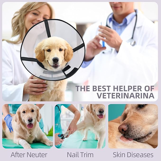 DogLemi Dog Cone Collar, Soft Dog Cone for Dogs After Surgery, Adjustable and Comfortable Elizabeth Collar, Used for Wound Care, Sterilization, Suitable for Medium to Large Dogs (L)