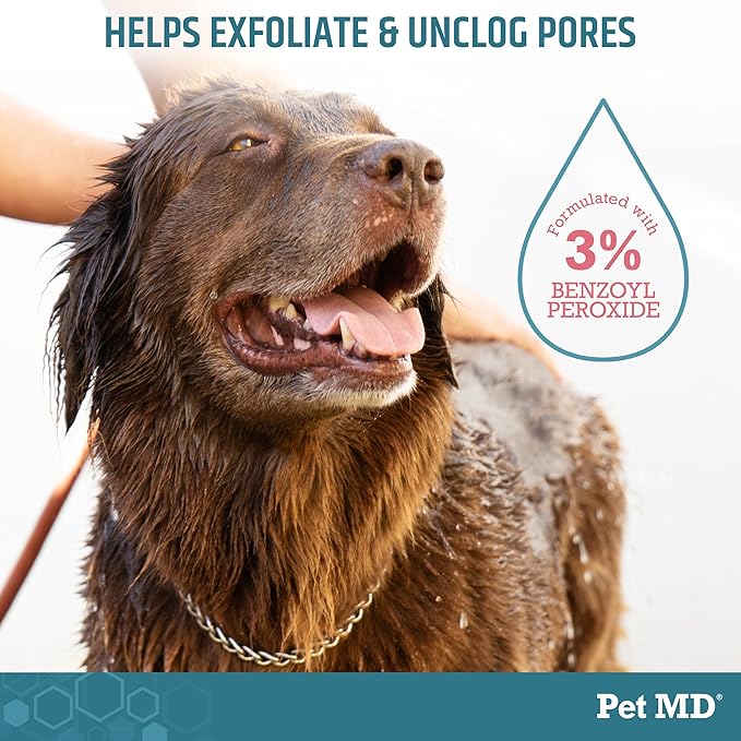Pet MD - Benzoyl Peroxide Medicated Shampoo for Dogs and Cats - Effective for Skin Conditions, Dandruff, Itch Relief, Acne and Folliculitis - Citrus Scent - 12 oz